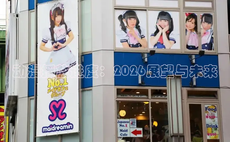 动漫播放进度：2026展望与未来