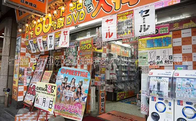 星耀城：动漫之城的未来蓝图——2026展望
